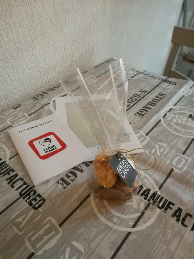 Le Cocon Appart Avec Parking Prive & Terrasse Sainte-Croix-en-Plaine Εξωτερικό φωτογραφία